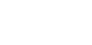 SEBRAE